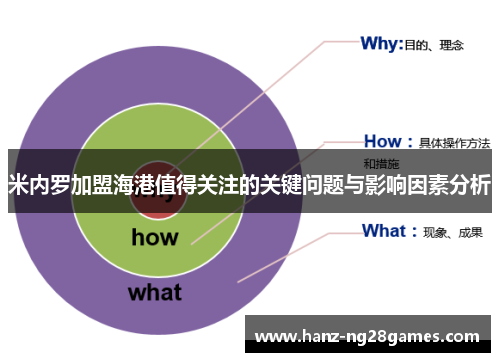 米内罗加盟海港值得关注的关键问题与影响因素分析