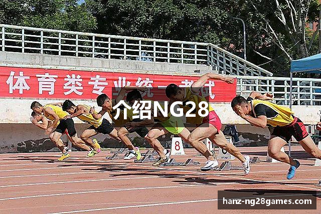 介绍NG28